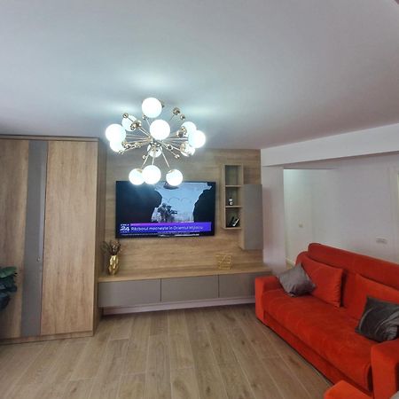 Ultracentral Luxury Apartament Curtea de Argeş Екстериор снимка